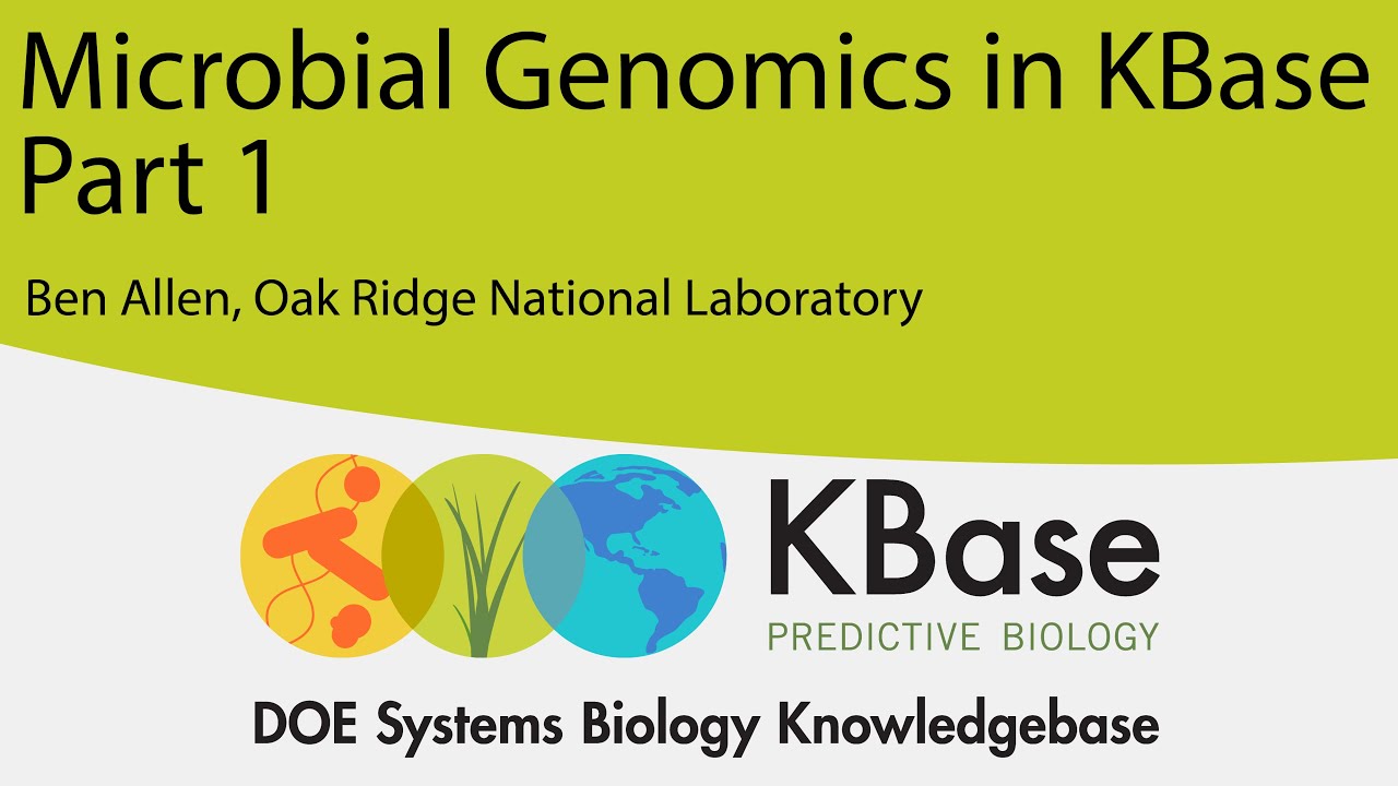 Microbial Genomics in KBase Part 1: Drafting and Improving Isolate Genomes