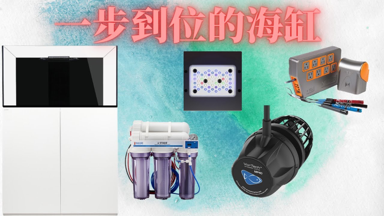 一步到位的海缸配置，下海不走弯路！
