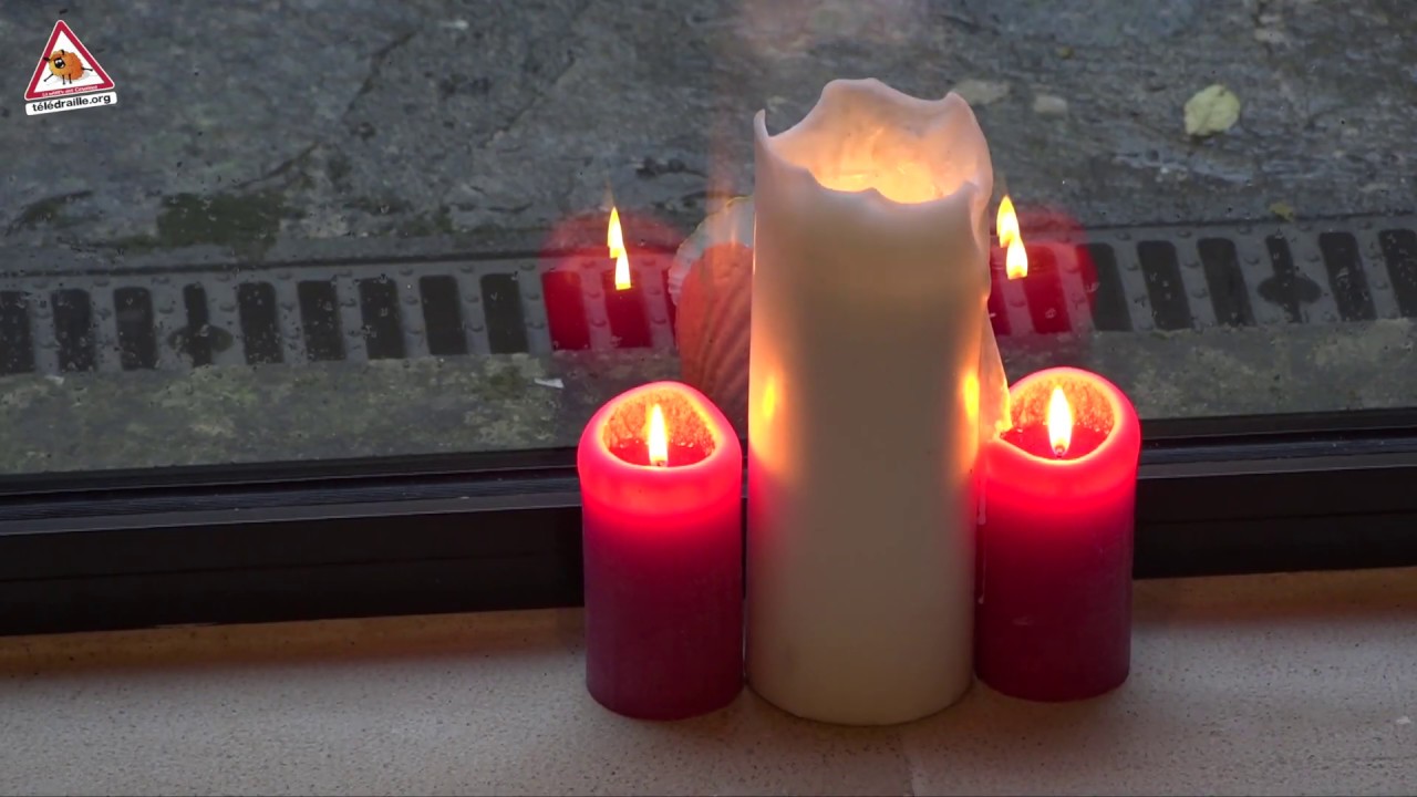 La Ronceraie, accueil d’artistes en résidence