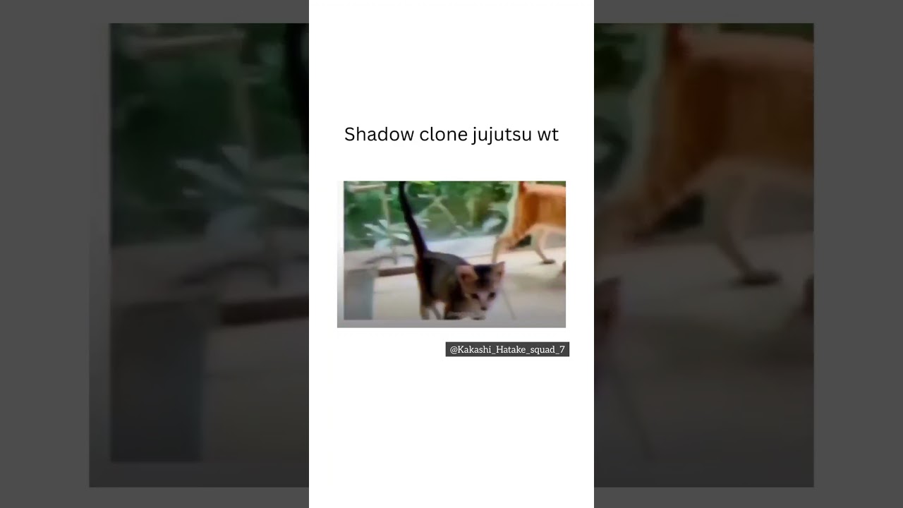 shadow clone jujutsu 🤣