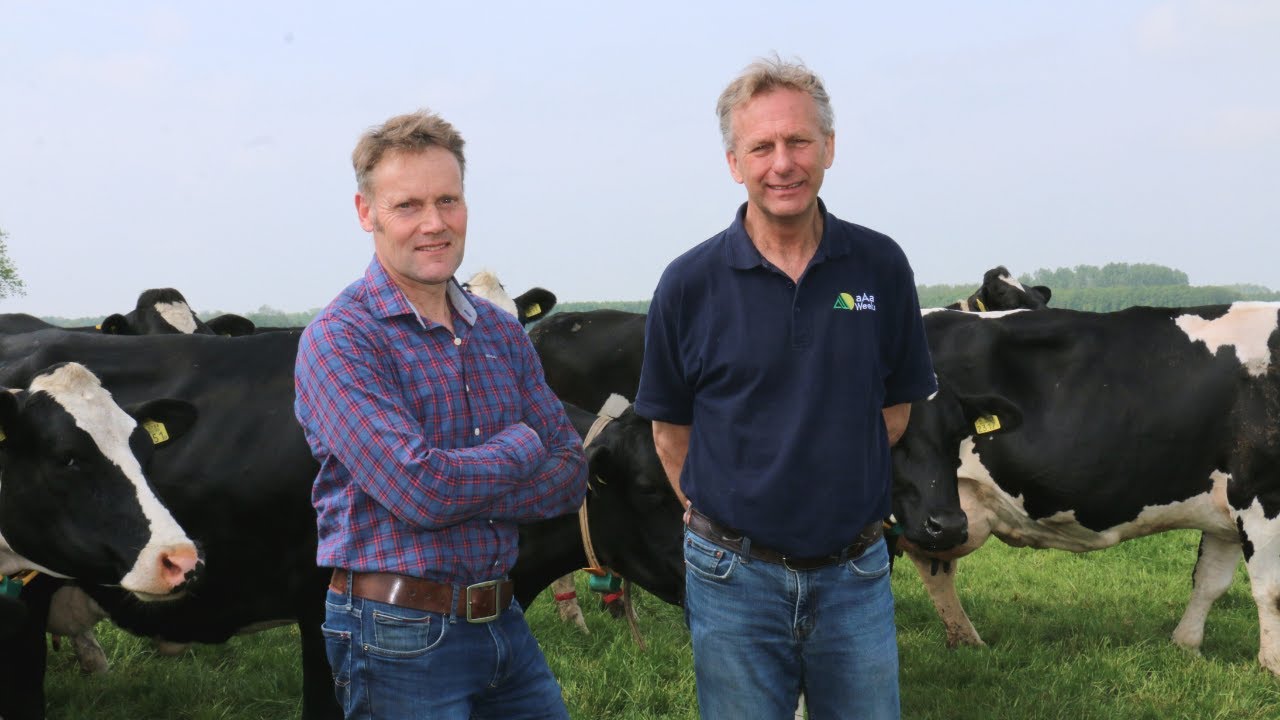 Interview with Eelco Zandvliet, Langezwaag Friesland
