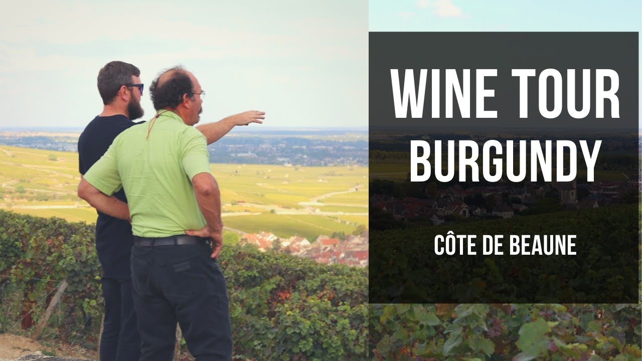 Burgundy Wine Tour - Travel through the vineyards of Côte de Beaune