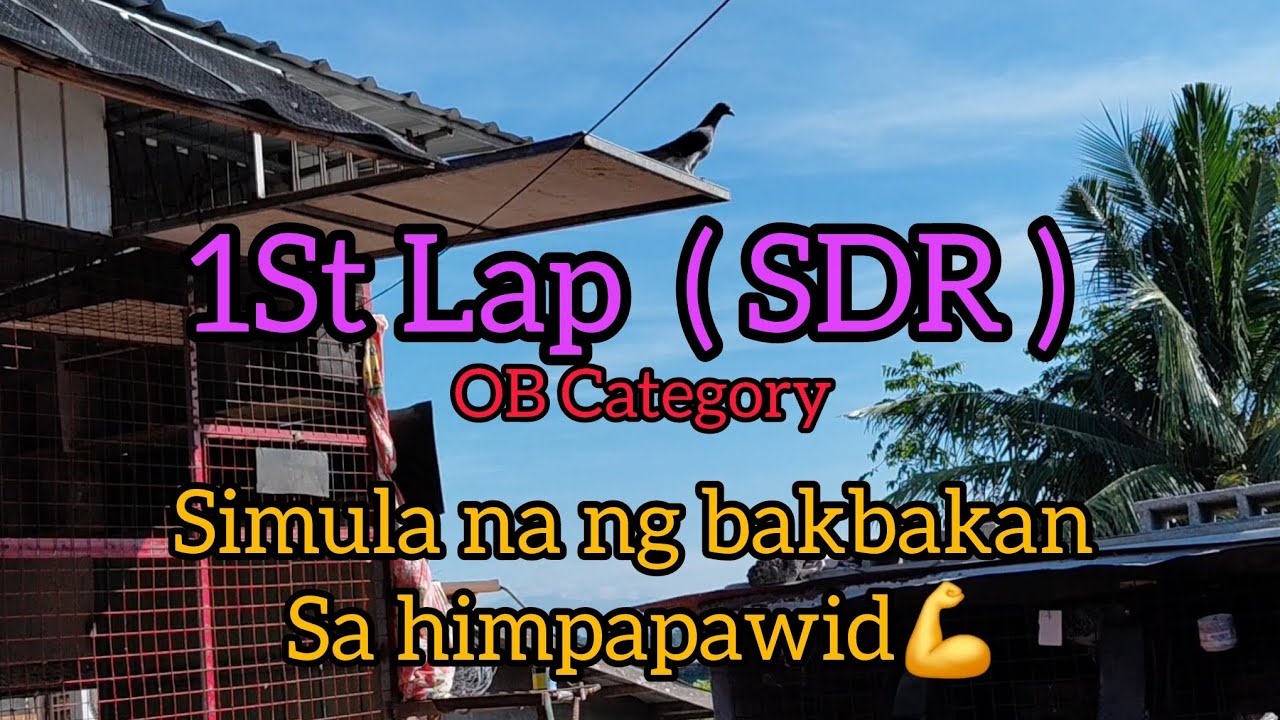 1st Lap ( SDR ) ob category | Simula na ng bakbakan sa himpapawid💪