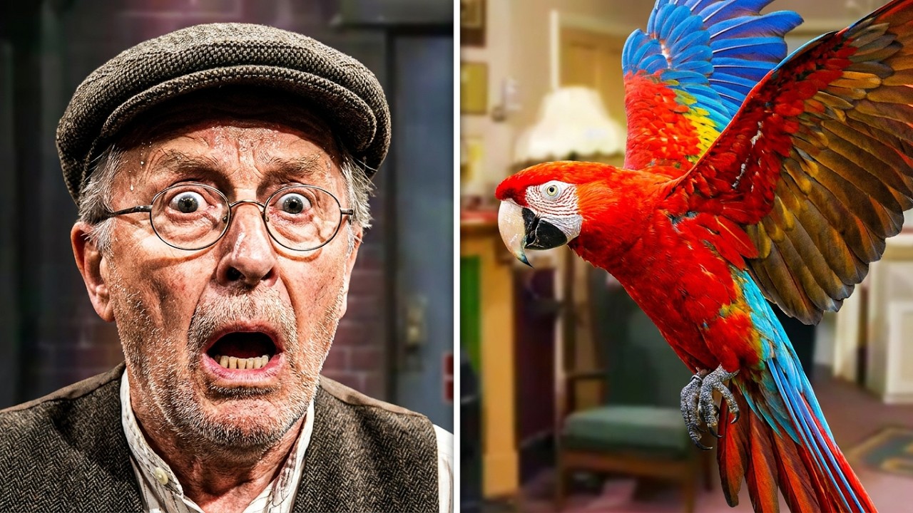Grandad Series 1 Episode 1