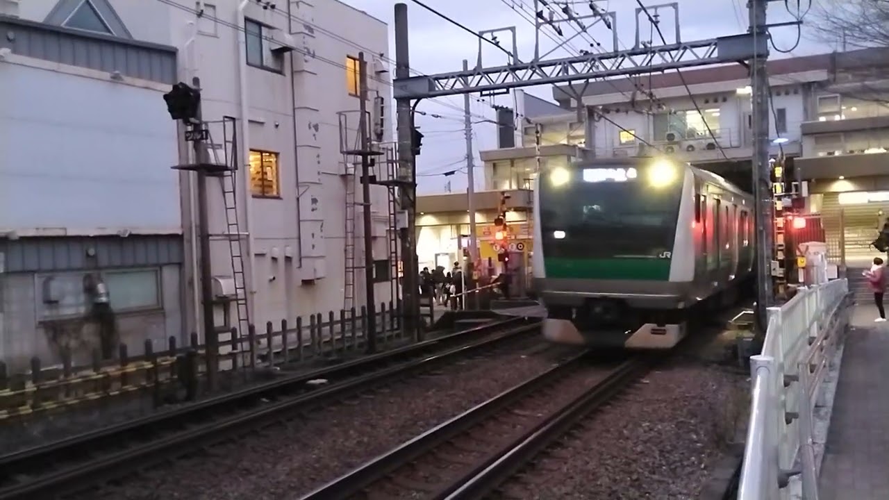 埼京線E233系7000番台ハエ119編成快速海老名行