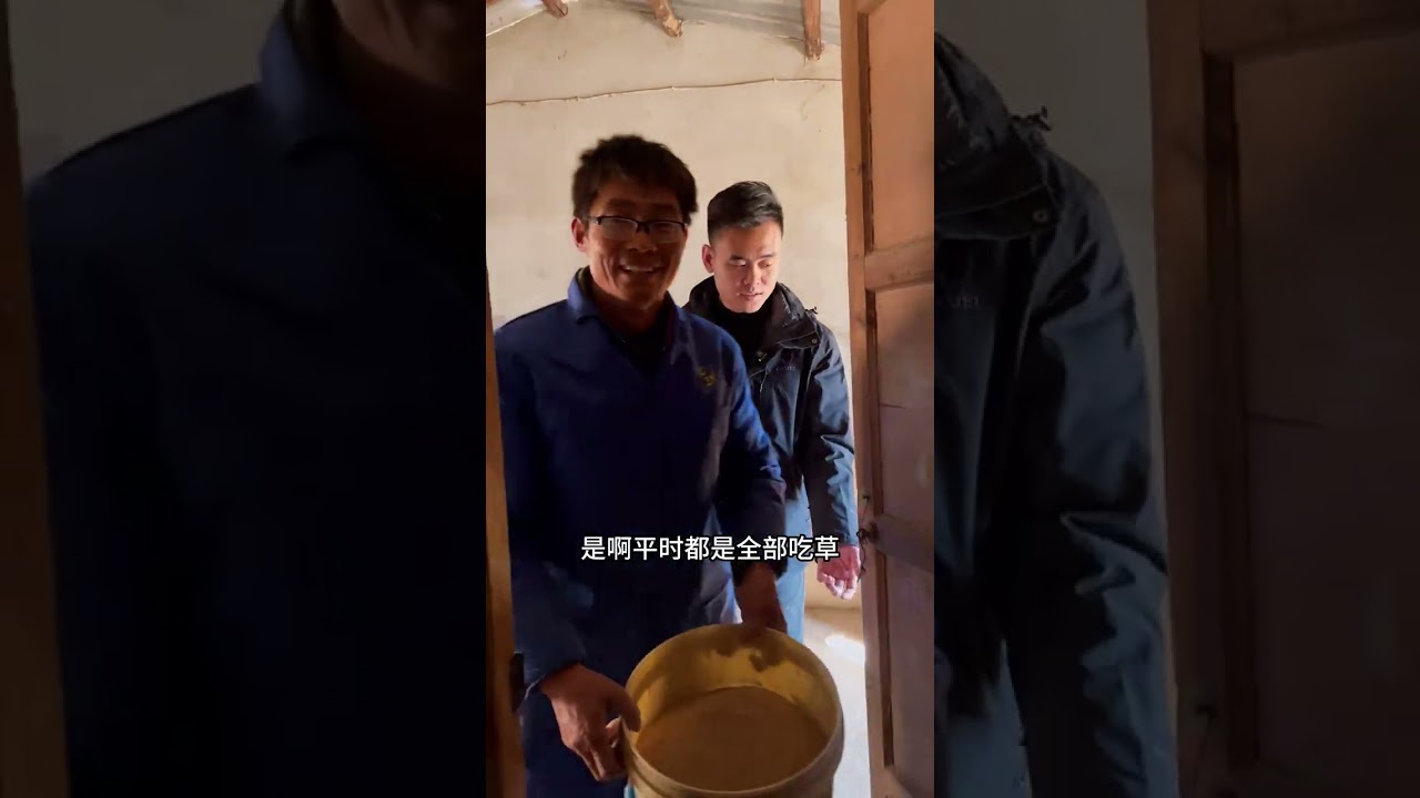 宁亏自己不亏良心，工程师转行养牧，死守食品安全最后防线。 #真实生活分享计划 #vlog十亿流量扶持计划 #夫妻农村生活 #记录真实乡村生活 #蹭饭专业户