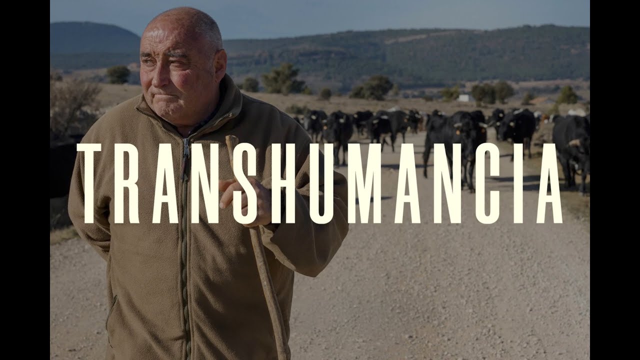 Trashumancia
