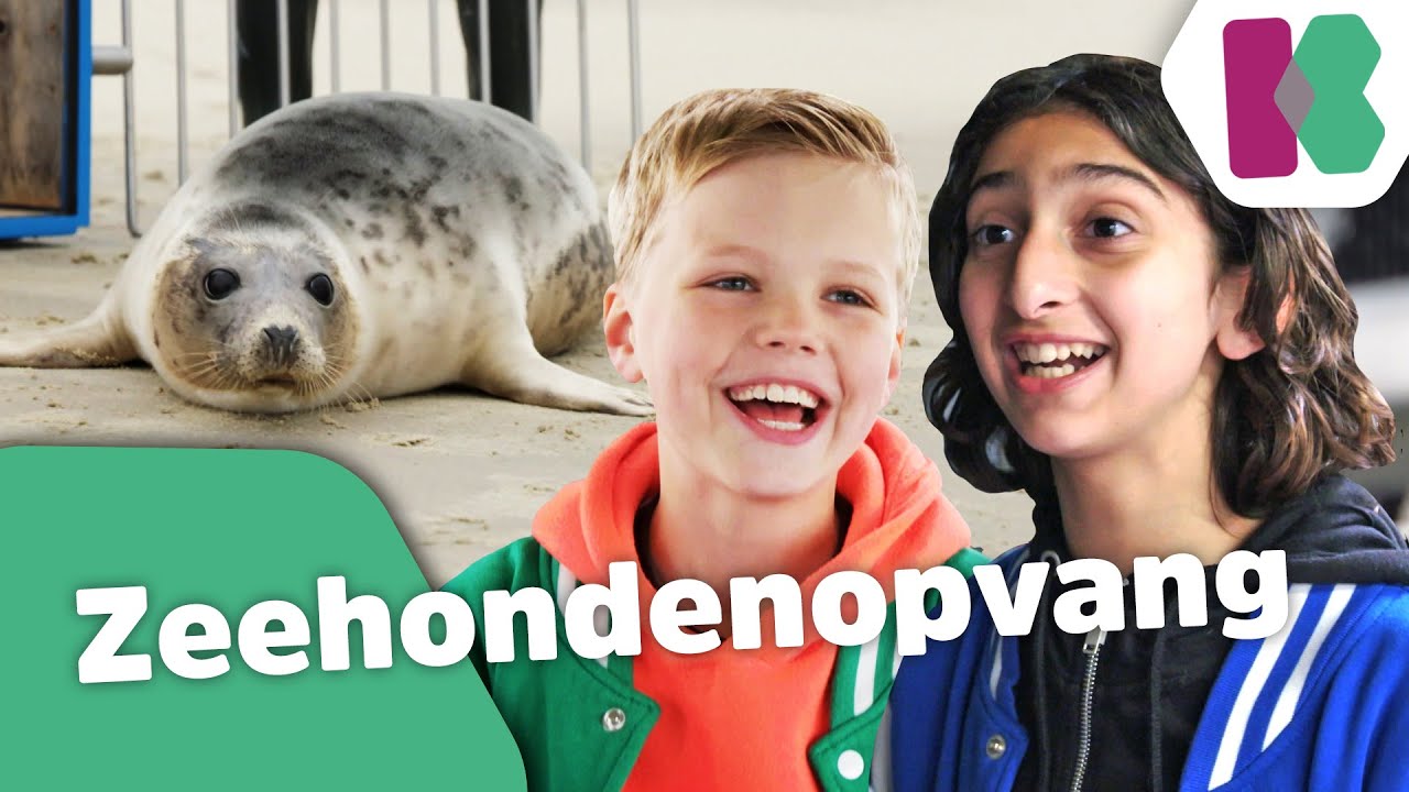 Bruce en Olivier mogen twee ZEEHONDEN vrijlaten! 😍- Kinderen voor Kinderen helpt mee