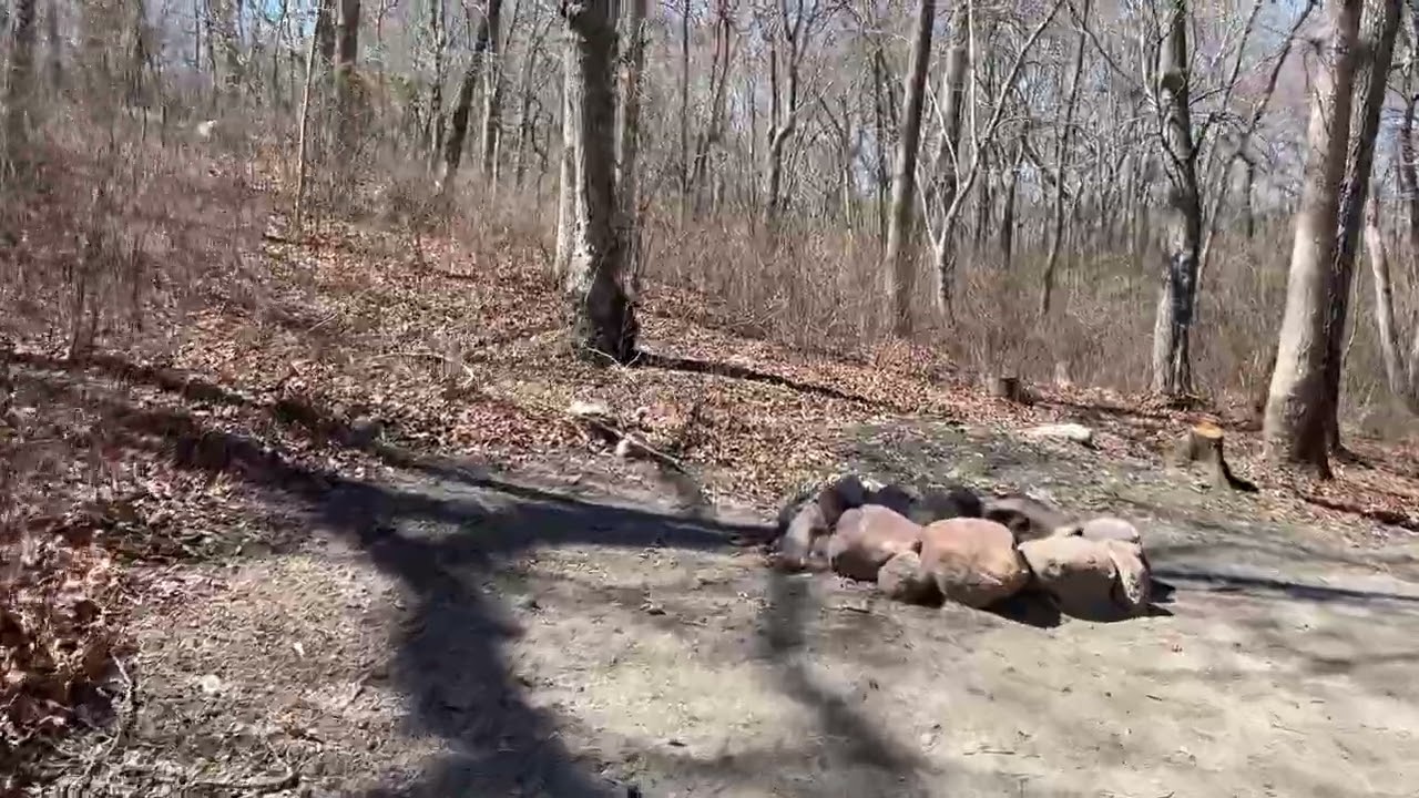 117 Burlingame State Campground Campsite