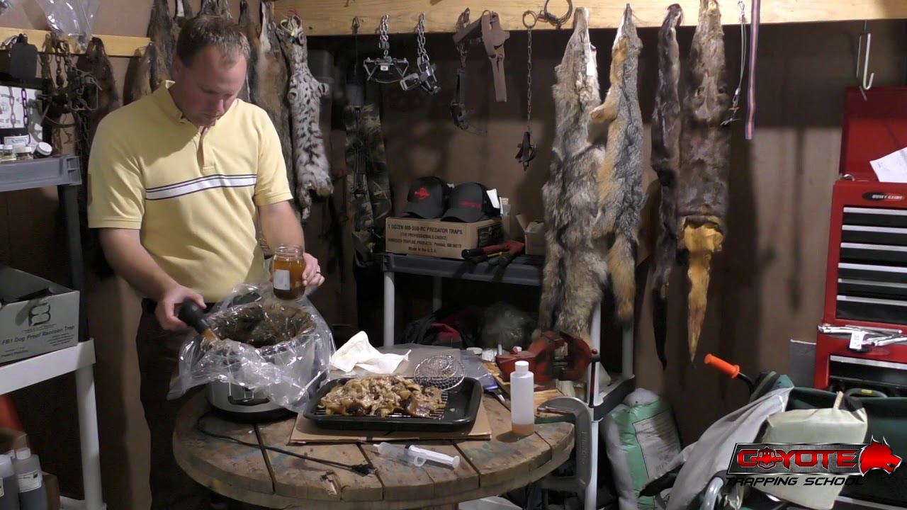 Making beaver tail oil - almost done!