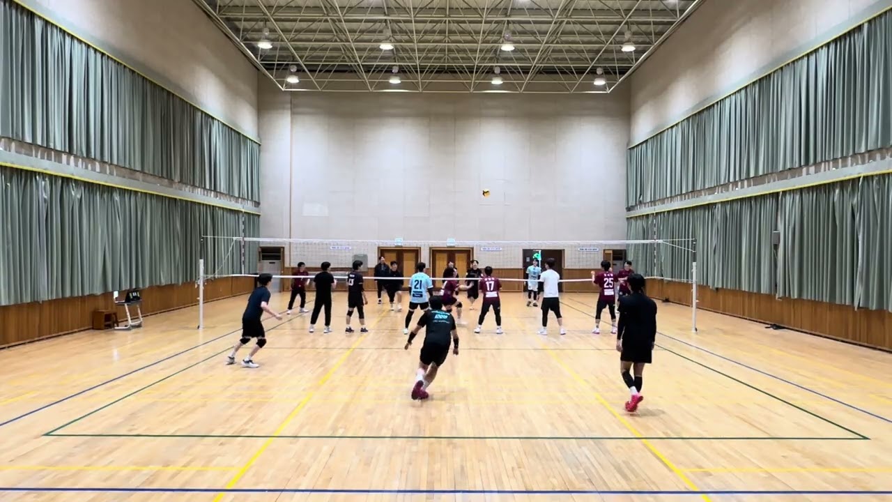 신금퀵 7세트
