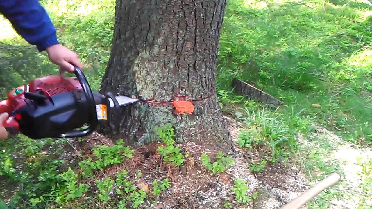 jonsered cs 2159w best chainsaw husqvarna 359g