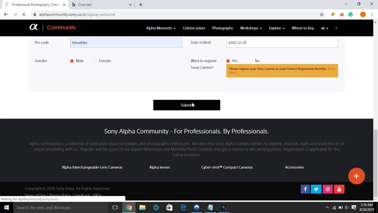 SELF XSS ON SONY