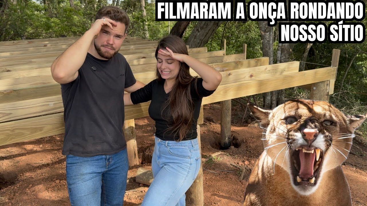 Tem onças rondando nosso sítio da cabana! - Estamos com medo, e agora?