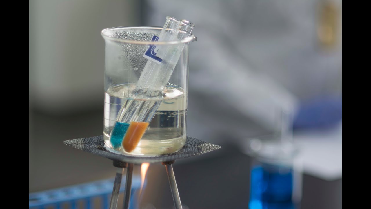 Food Testing   Starch, Fat, Protein and Reducing Sugar