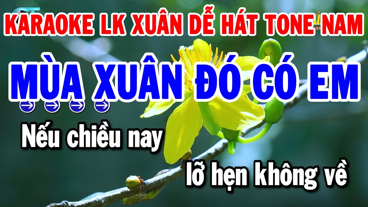 Karaoke Liên Khúc Tone Nam Nhạc Xuân Dễ Hát Nhất | Mùa Xuân Đó Có Em - Mùa Xuân Của Mẹ | Thanh Hải