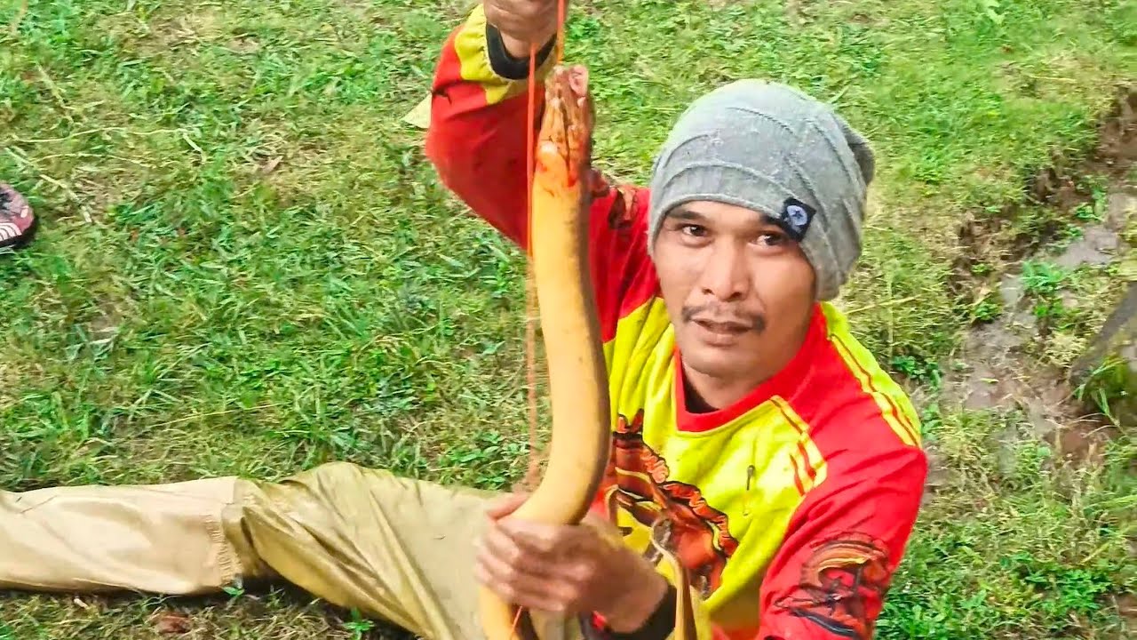 Strike 2 belut besar di satu kolam ⁉️‼️