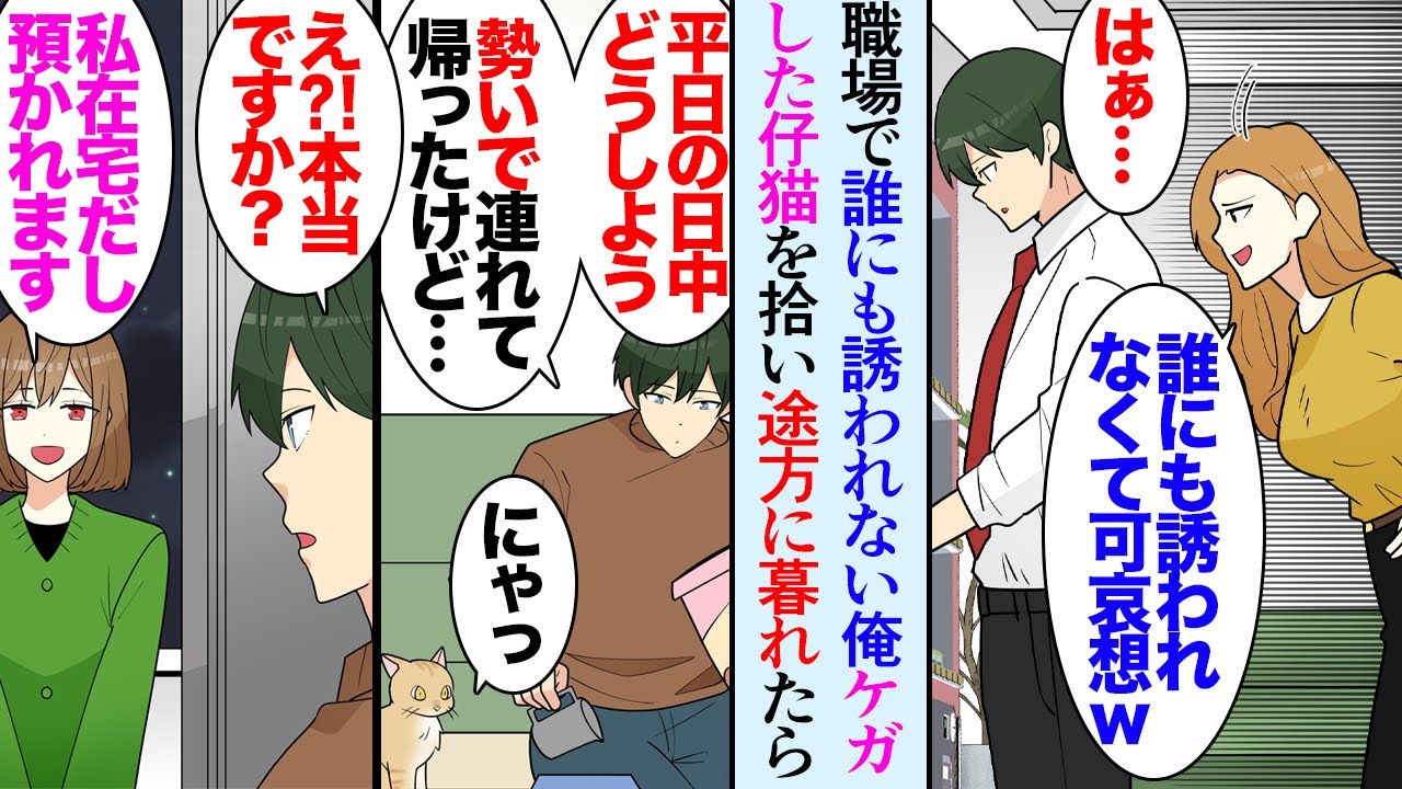 【漫画】職場で飲みにも誘われない俺「陰キャで誰からも誘われないとか可哀想ｗ」俺「…」→帰宅中、足をケガした仔猫を見付け家に連れ帰ったは良いが途方にくれてたら、隣人女性「私が面倒見ますよ」【マンガ動画】