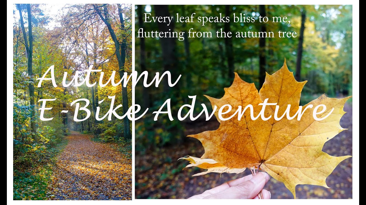 Fall Colors Bike Ride with #Insta360X5| Breathtaking scenery | Autumn #insta360x5