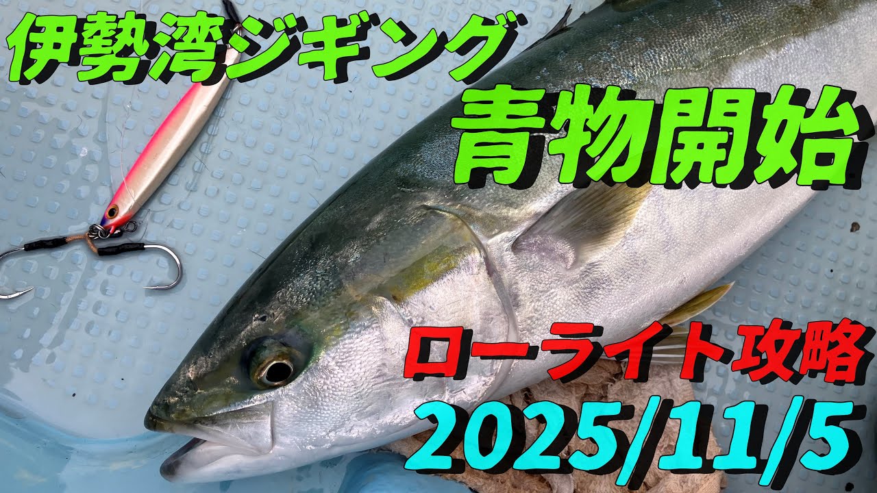 2025/11/5   前日から始まった青物ゲーム。翌日の撃沈は良くあるジンクス。太陽光のないローライトでの釣果は？