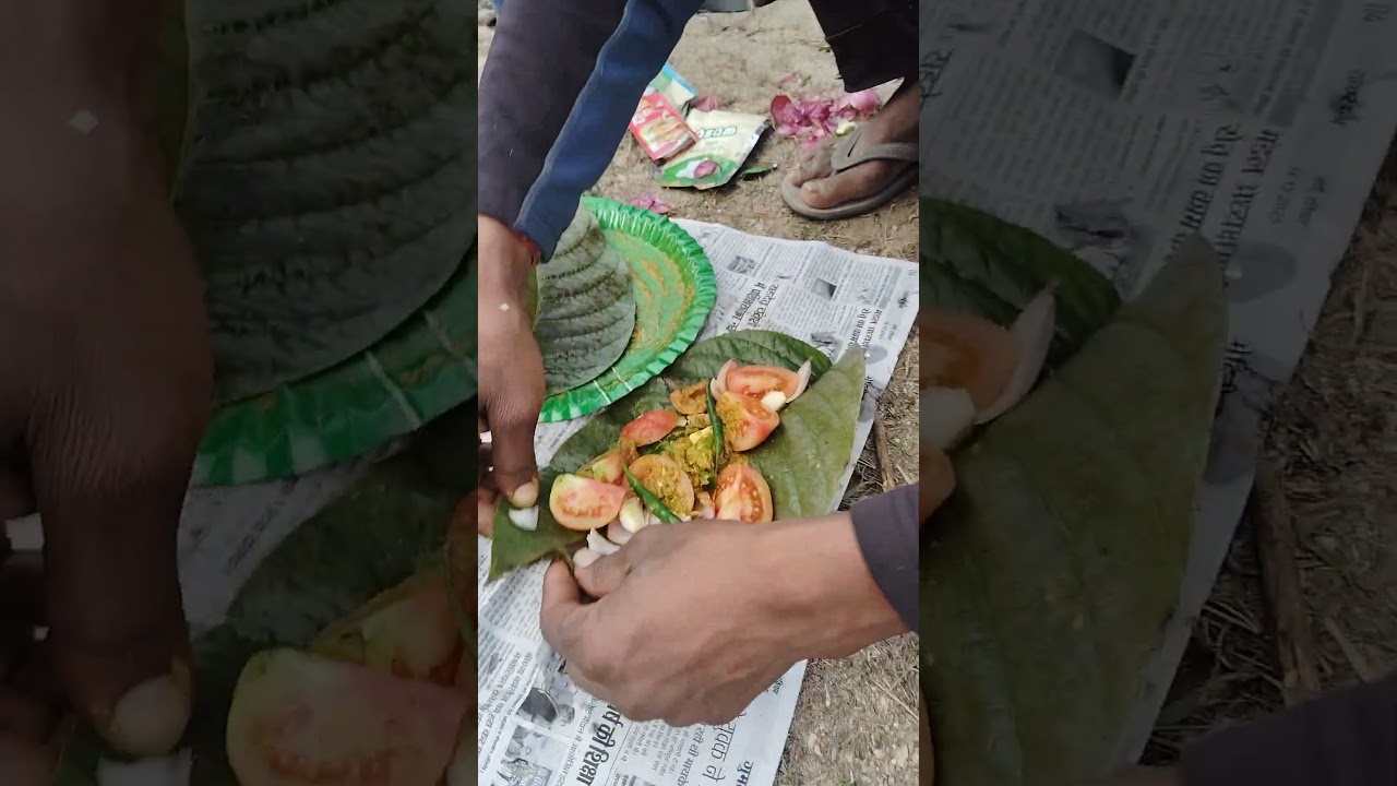 आज का जंगली पिकनिक #videoclip #automobile #bhojpurimusic #woodlife #forestlife