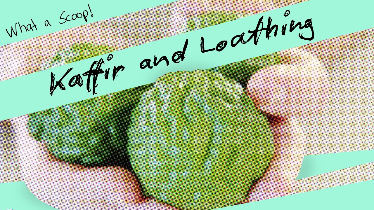 What a Scoop! Episode 1:  Kaffir and Loathing