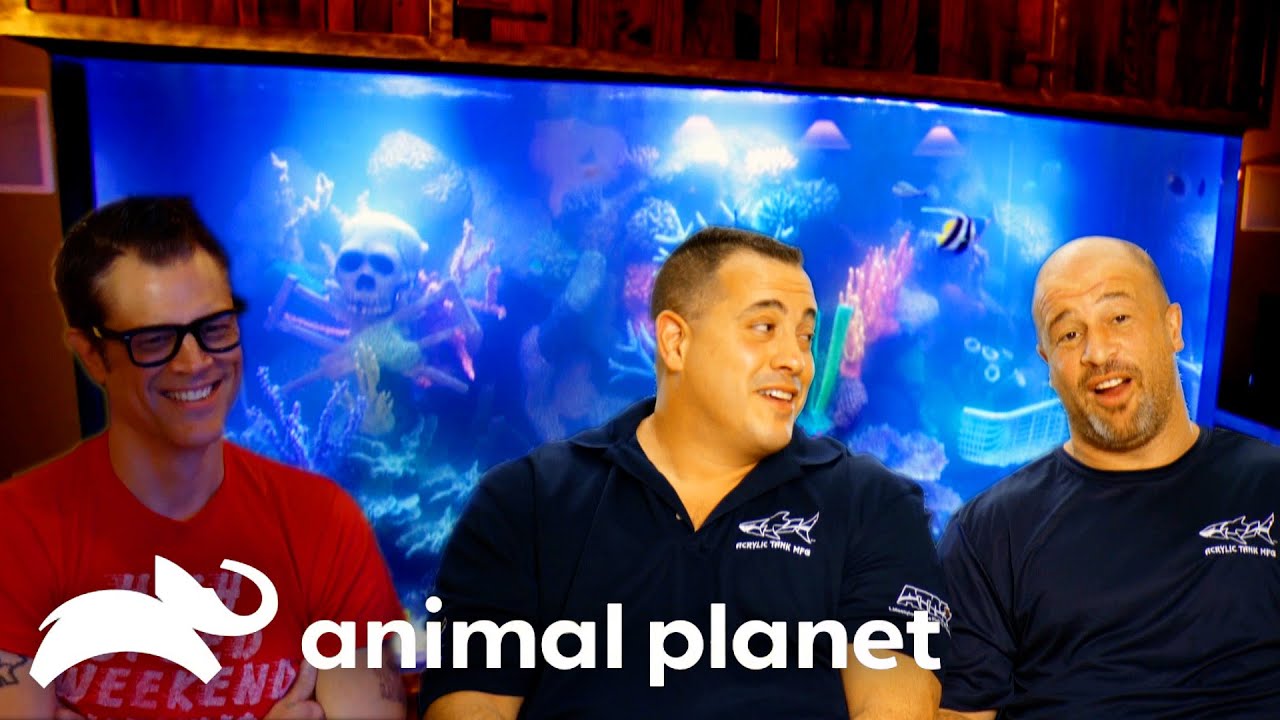 A Kickass Jackass-Inspired Tank | Tanked | Animal Planet