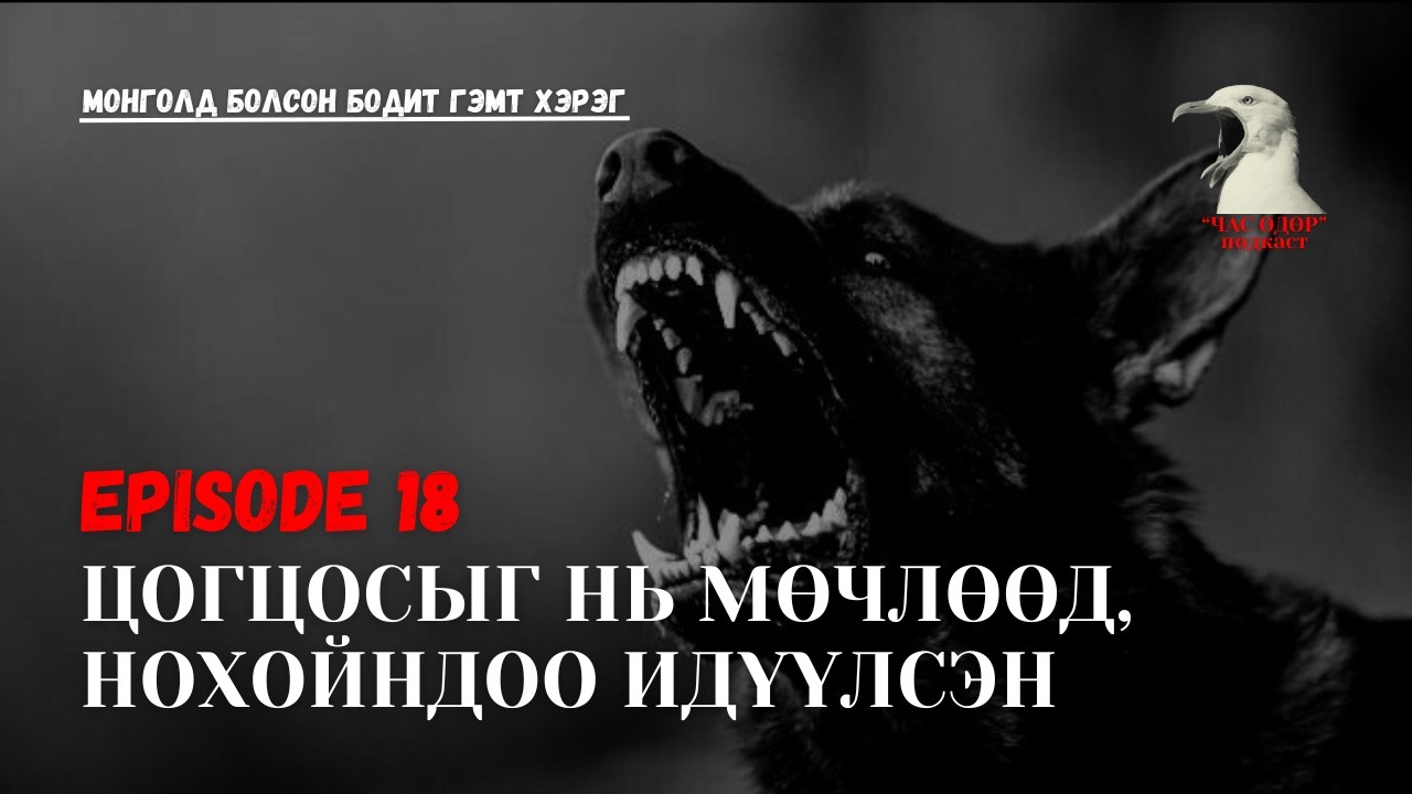Монголд болсон бодит гэмт хэрэг- Эхнэрээ хөнөөгөөд, цогцсыг нь нохойнд идүүлсэн