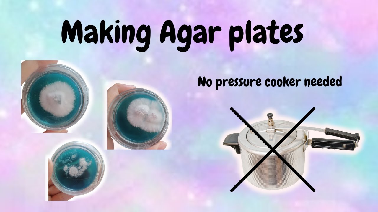 Agar without a pressure cooker