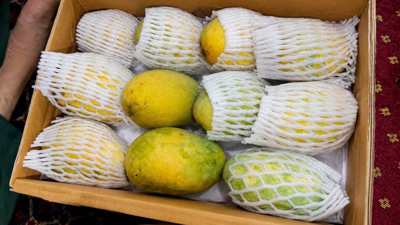 Multani Mangoes, Pakistani Mangoes, Sweet Mangoes, Juicy Mangoes, Best Mangoes in Pakistan, 