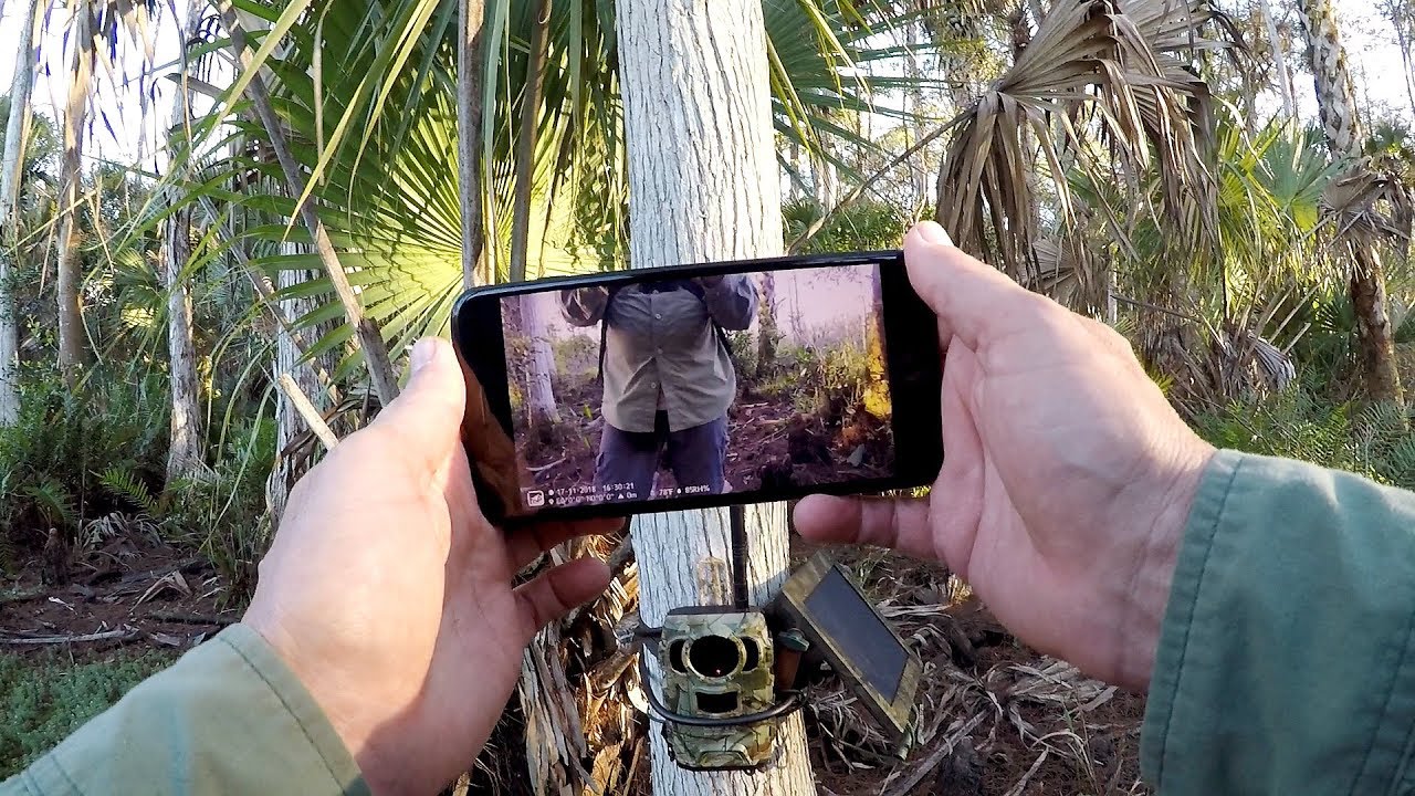 Owlzer Z1 4G Cellular Trail Camera Pickup