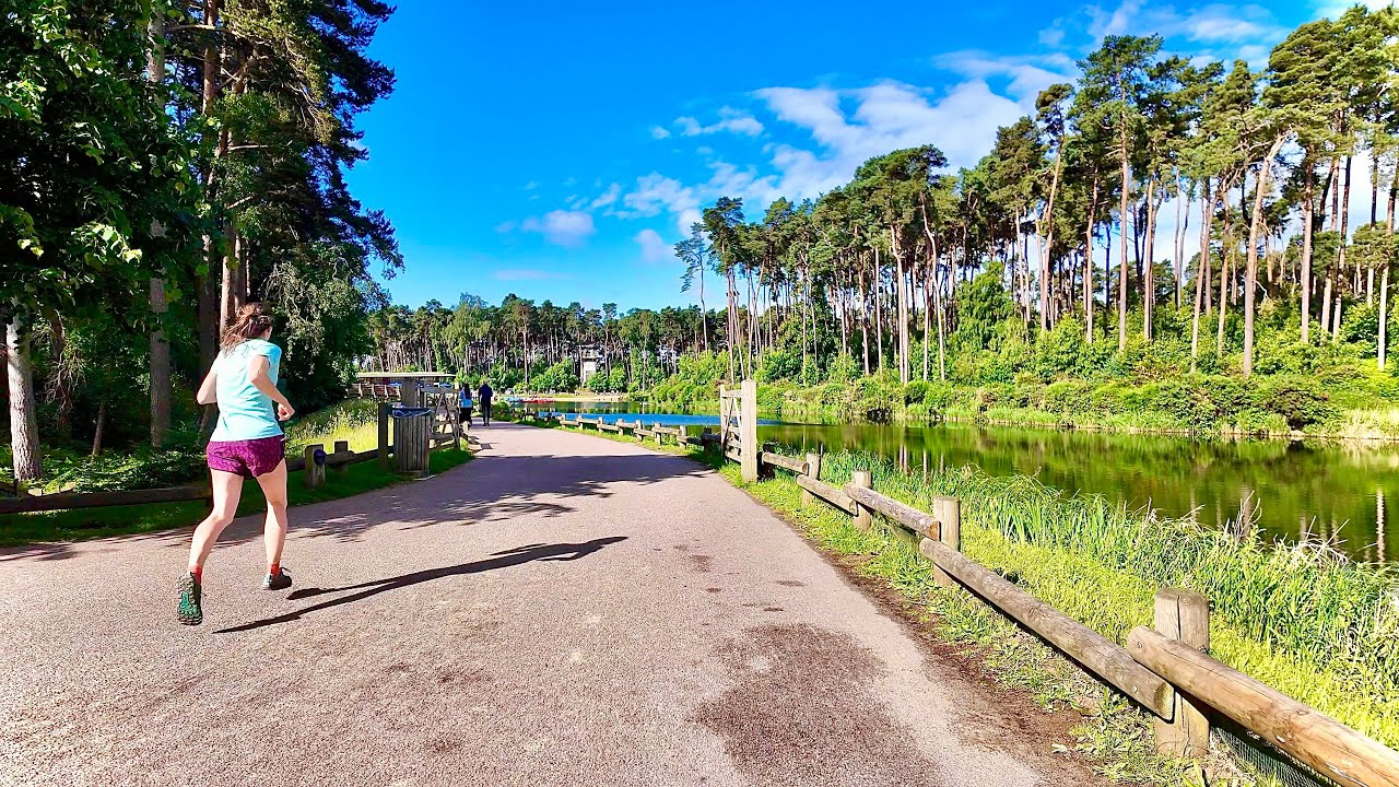 Relaxing Morning Walk - Center Parcs - Woburn Forest - 4K 🌳🌳🌳🚶🏻