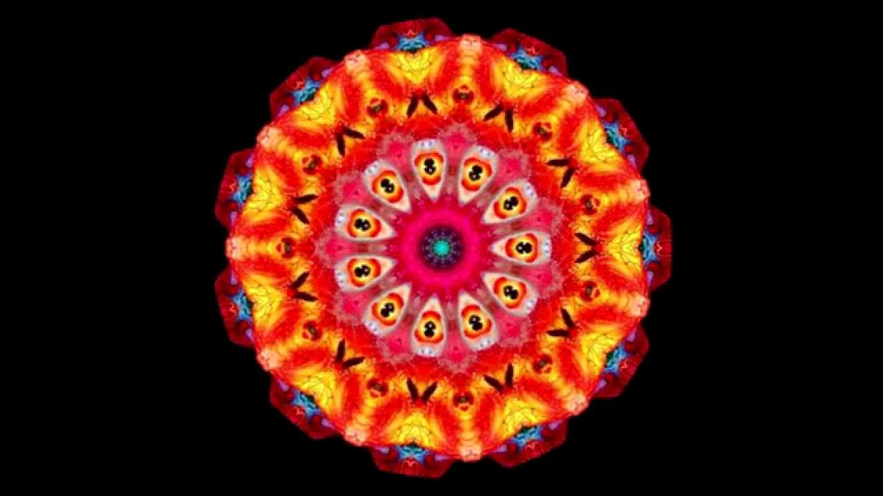 Madre  Padre - Médium