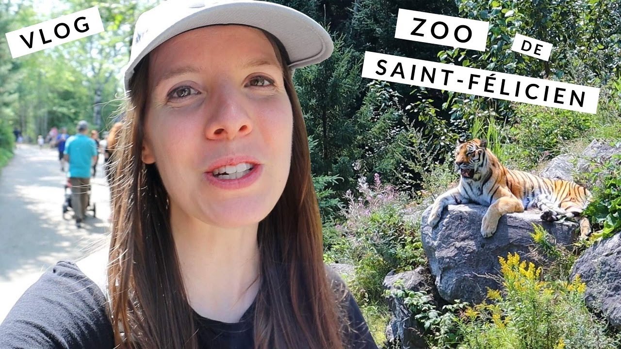 VLOG| On Visite le Zoo Sauvage de Saint-Félicien - Jour 2 de nos Vacances au Saguenay-Lac-Saint-Jean