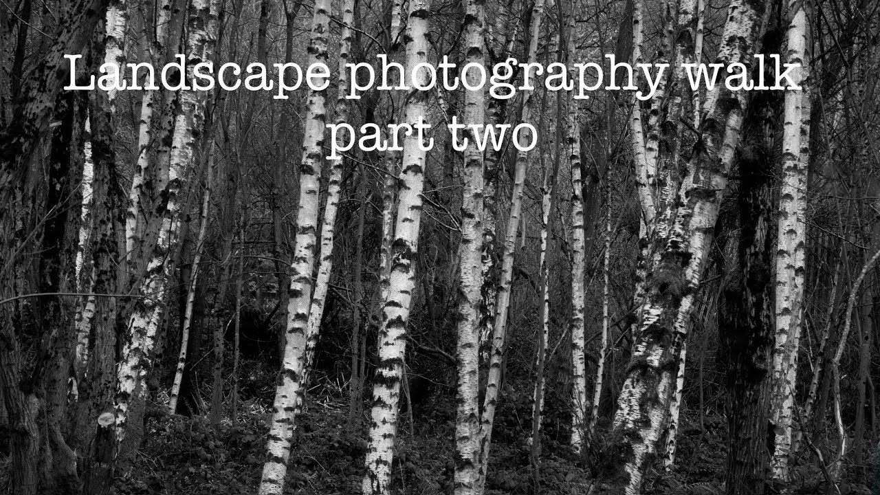 Landscape Photography walk Part two