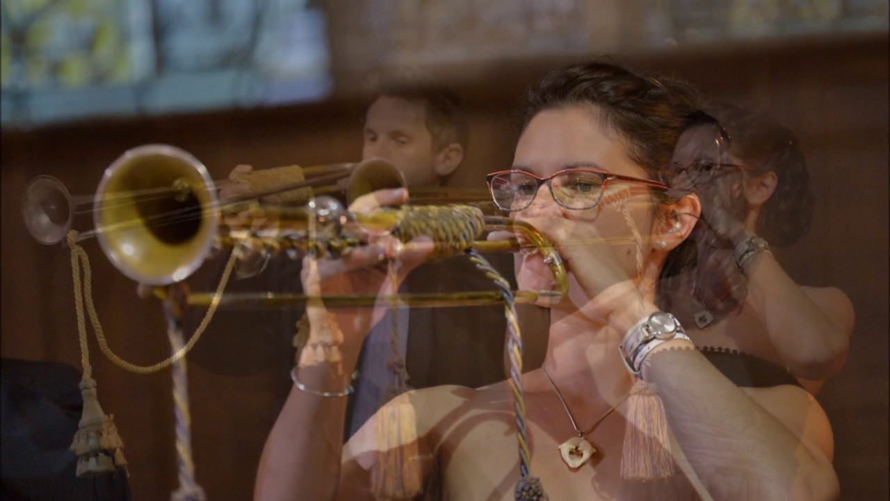 Petronio Franceschini Concerto in D deux trompettes naturelles (natural trumpet without holes)