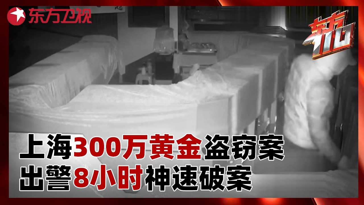 上海300万黄金盗窃案，出警8小时神速破案！#东方110 FULL