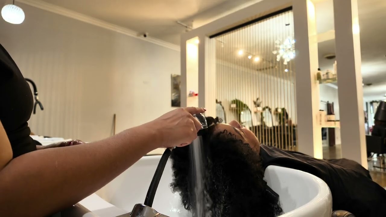 Tight Curly Transformation: Heat Damage Repair Consultation + Curly Cut + Style | Indianapolis