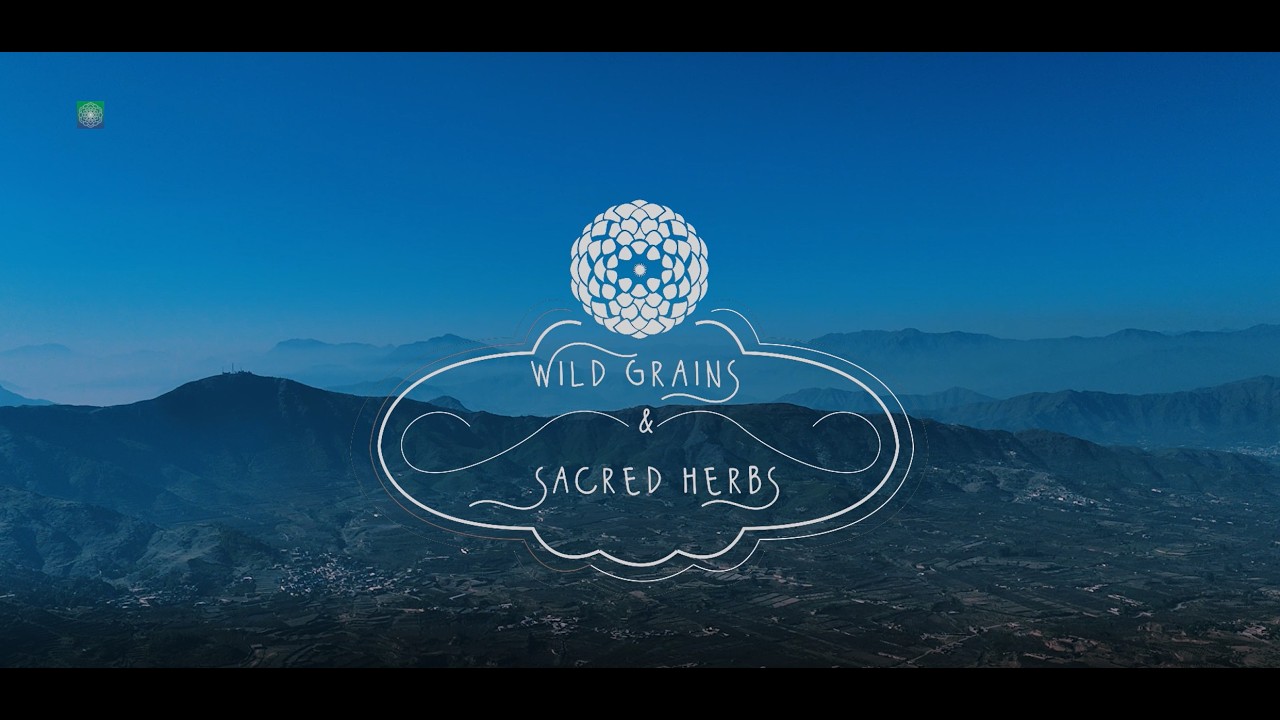 The Wild grains and Sacred Herbs Residency