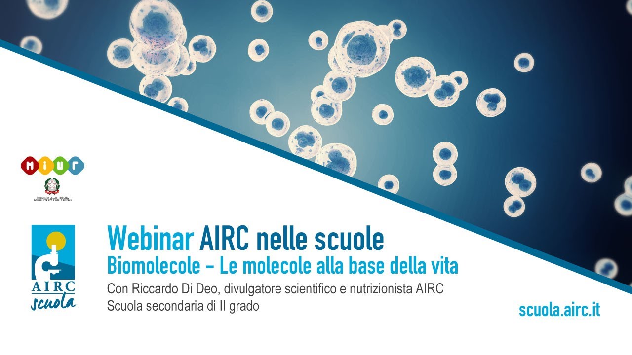 Biomolecole - Webinar AIRC nelle scuole con Riccardo Di Deo, divulgatore scientifico AIRC