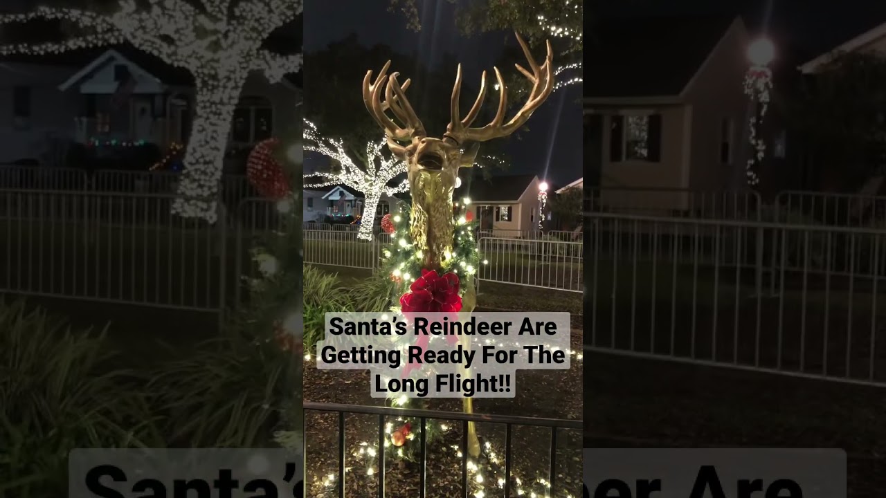 Santa’s Reindeer Are Getting Ready For The Long Flight Across The World !!! 