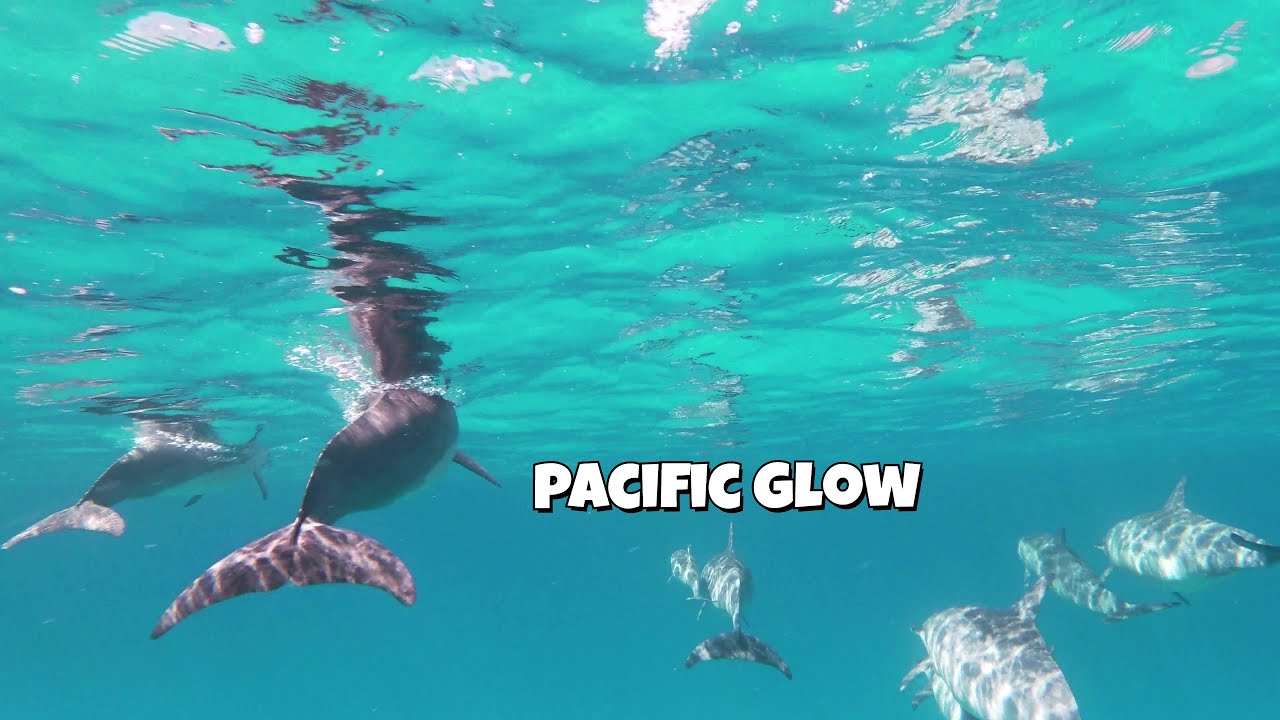 Kauai RELAXING NATURE 4K OCEAN SLEEP VIBES USA Hawaii #relaxing #inspiration #sleep
