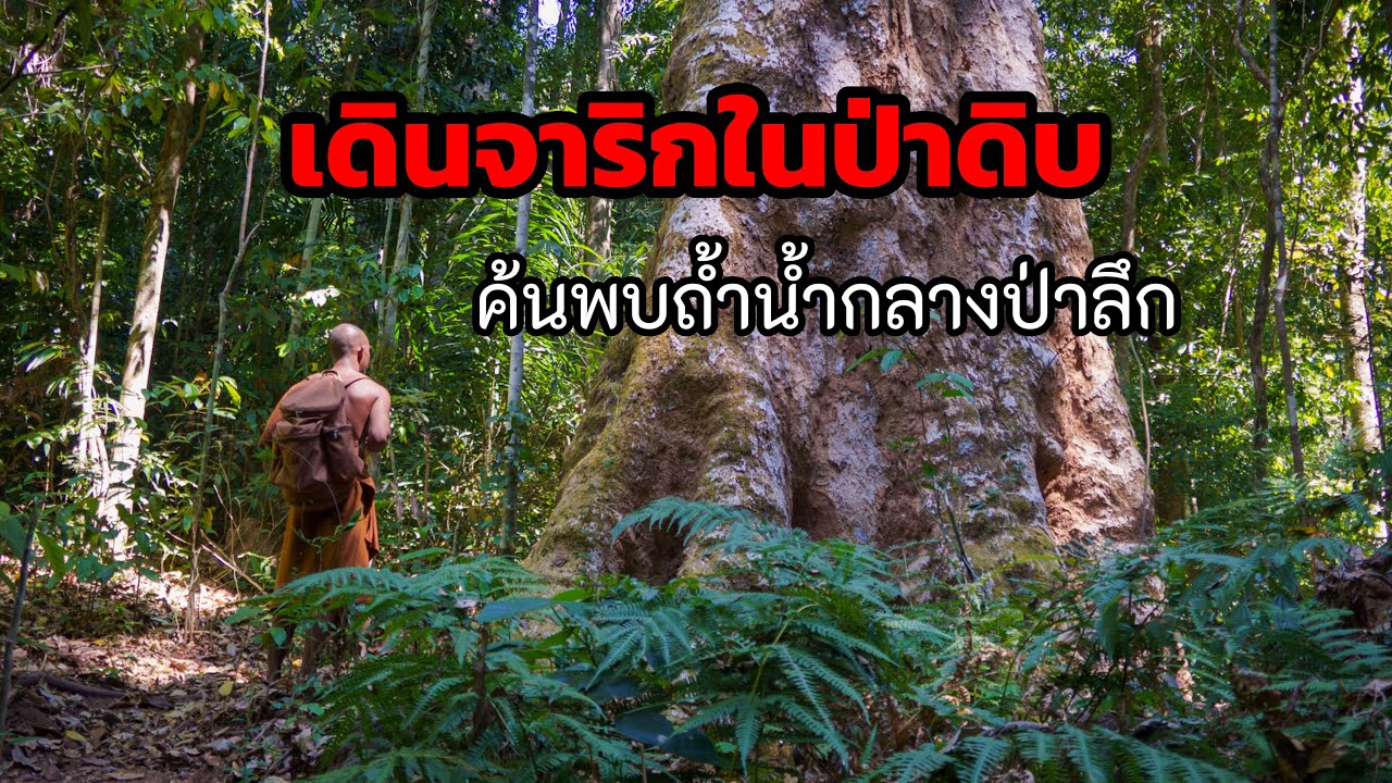 เดินจาริกในป่าดิบ ค้นพบถ้ำน้ำกลางป่าลึก มีลมพัดผ่านพร้อมกลิ่มหอมโชยออกมาจากถ้ำตลอดเวลา 