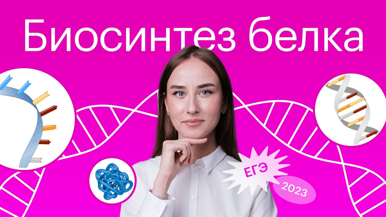 Понятно и просто: биосинтез белка для ЕГЭ по биологии