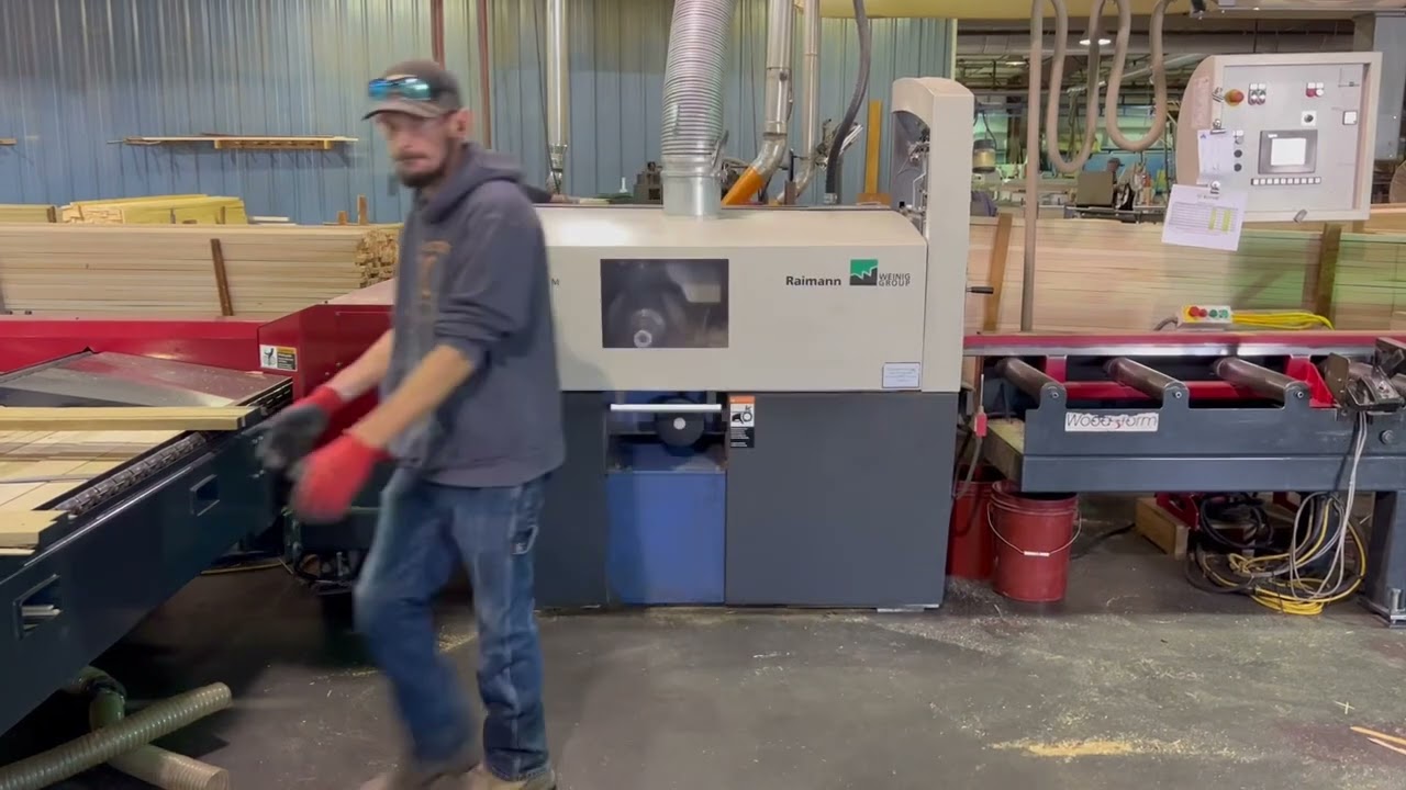 Raimann 310 Rip Saw with Woodstorm Infeed & Outfeed