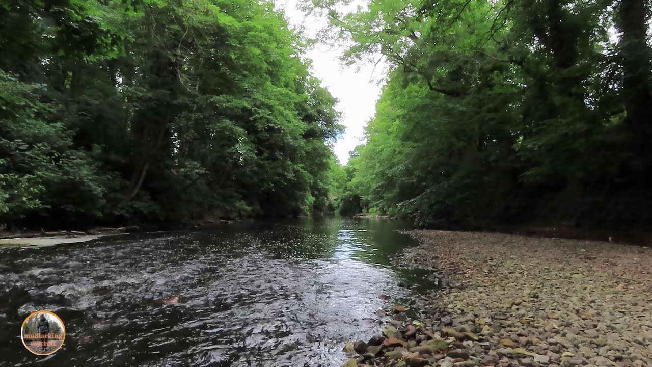 Calming river sounds for Sleep Flowing Water & Birds (44 Mins)