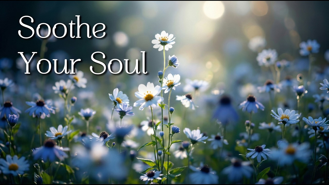 Soothe Your Soul ✨Comforting Violin & Piano to Focus, Wash Away Stress & Sleep