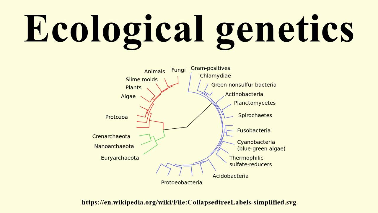 Ecological genetics