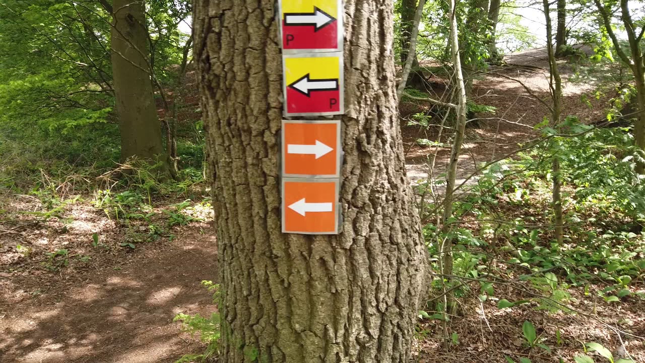 (Nr. 14) Rondwandeling Emlichheim, Grafschaft Bentheim