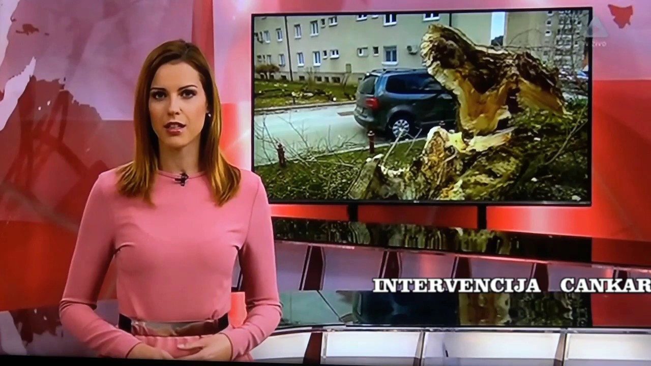 INTERVENCIJA   CANKARJEVA  C.   6      03. 01. 2019